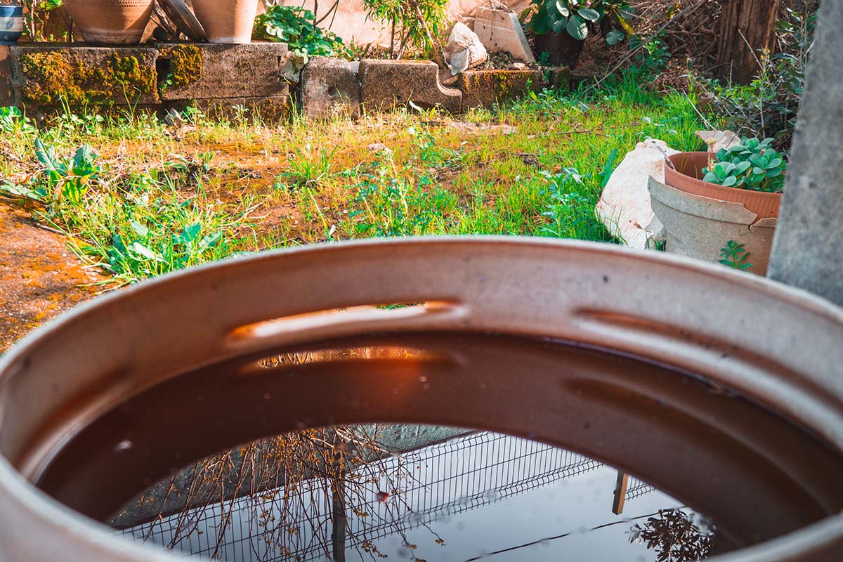 Regentonne im Garten mit stehendem Wasser